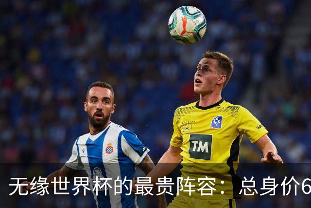 无缘世界杯的最贵阵容：总身价6.7亿 意大利5人